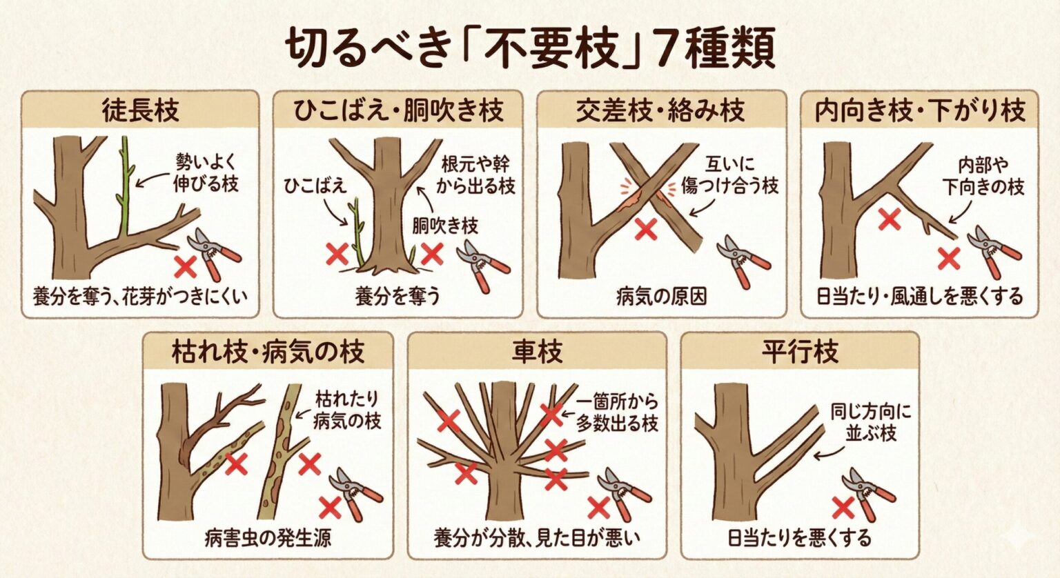 【初心者でも失敗しない】庭木の剪定のやり方完全ガイド|基本から応用までを徹底解説 – グリーンデザイナーズ