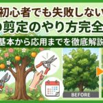 【初心者でも失敗しない】庭木の剪定のやり方完全ガイド｜基本から応用までを徹底解説