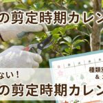 【庭木の剪定時期カレンダー】種類別一覧と初心者でも失敗しない方法を徹底解説