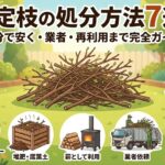 剪定枝の処分方法7選！自分で安く捨てる方法から業者依頼、再利用まで完全ガイド