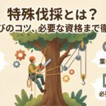 特殊伐採とは？費用相場から業者選びのコツ、必要な資格まで徹底解説