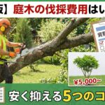 【最新版】庭木の伐採費用はいくら？高さ・状況別の相場から安く抑える5つのコツまで徹底解説