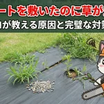 防草シートを敷いたのに草が生える！プロが教える原因と完璧な対策法