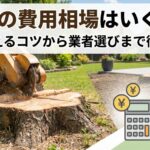 抜根の費用相場はいくら？安く抑えるコツから業者選びのポイントまで徹底解説