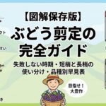 【図解保存版】ぶどう剪定の完全ガイド｜失敗しない時期・短梢と長梢の使い分け・品種別早見表