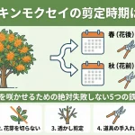 【図解】キンモクセイの剪定時期は年2回！花を咲かせるための絶対失敗しない5つの鉄則