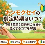 キンモクセイの剪定時期はいつ？花後？花前？目的別の方法や低くするコツを解説