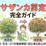 【サザンカの剪定完全ガイド】時期・方法から失敗しないコツまで徹底解説
