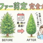 コニファーの剪定方法を完全ガイド！時期や失敗しないコツ、伸びすぎた時の対処法まで