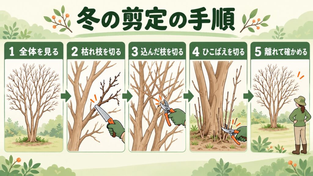サルスベリの冬の剪定の手順を、全体を見るところから離れて確かめるところまで5段階で示した図