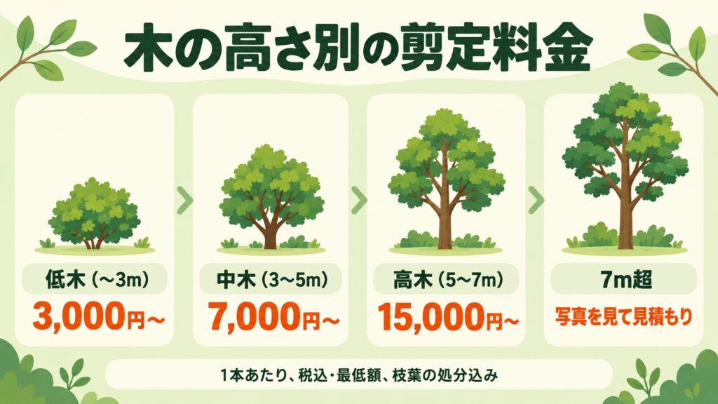 木の高さ別の剪定料金の図。低木3,000円〜、中木7,000円〜、高木15,000円〜、7m超は見積もり（税込・最低額・処分込み）