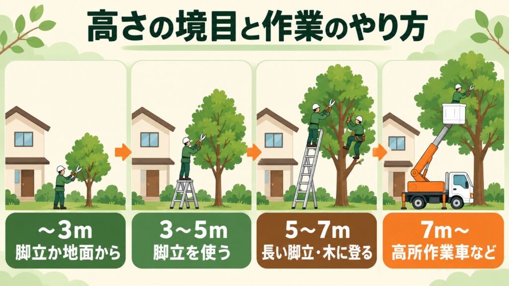 木の高さが3m、5m、7mを超えるごとに、作業のやり方が変わることを示した図