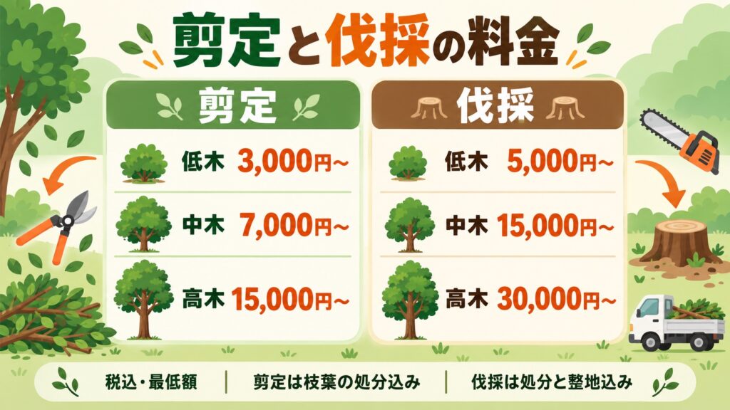 木の高さ別の剪定料金と伐採料金の図。高木は剪定15,000円〜、伐採30,000円〜（税込・最低額）