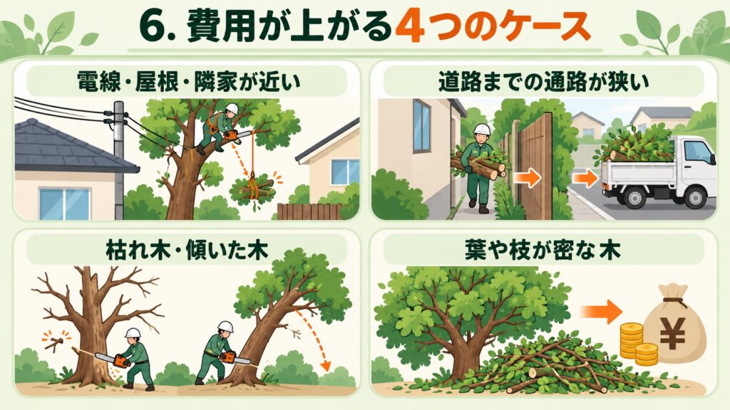 費用が上がる4つのケースとして、電線・屋根・隣家が近い、道路までの通路が狭い、枯れ木・傾いた木、葉や枝が密な木を示した図