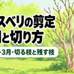 サルスベリの剪定時期は落葉後〜3月｜切る枝と残す枝・切り方【図解】
