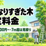 高くなりすぎた木の剪定料金は15,000円〜｜切り詰め・伐採の分かれ目