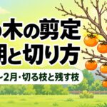 柿の木の剪定時期は落葉後〜2月｜切る枝と残す枝・切り方【図解】